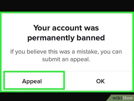 Why Your TikTok Account Suspended And How to Recover It?