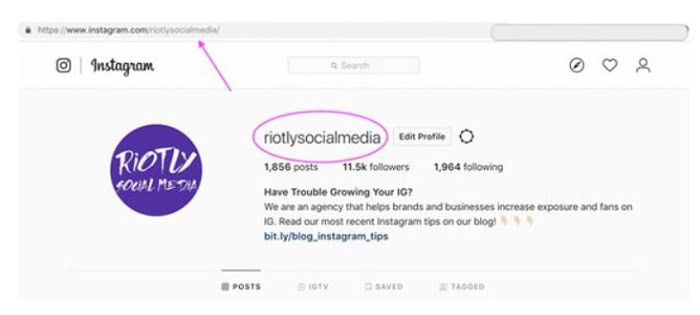 What is an Instagram Handle? Your Guide to Usernames